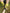 SHIN GUARDS PREMIER WITH ANKLE PROTECTION