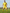 YELLOW CLUB FOOTBALL  SHORTS
