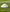 CIGNO MARKER CONES - 10 PACK - WHITE