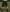 CLUB PADDED GOALKEEPER SHORTS