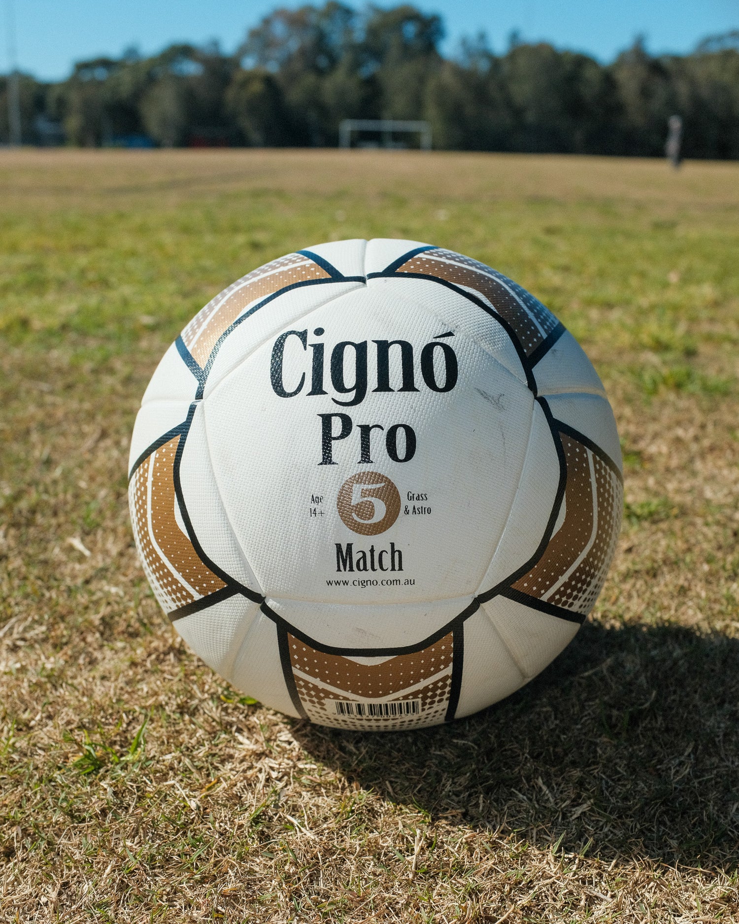 CIGNO PRO MATCH BALL SIZE 5