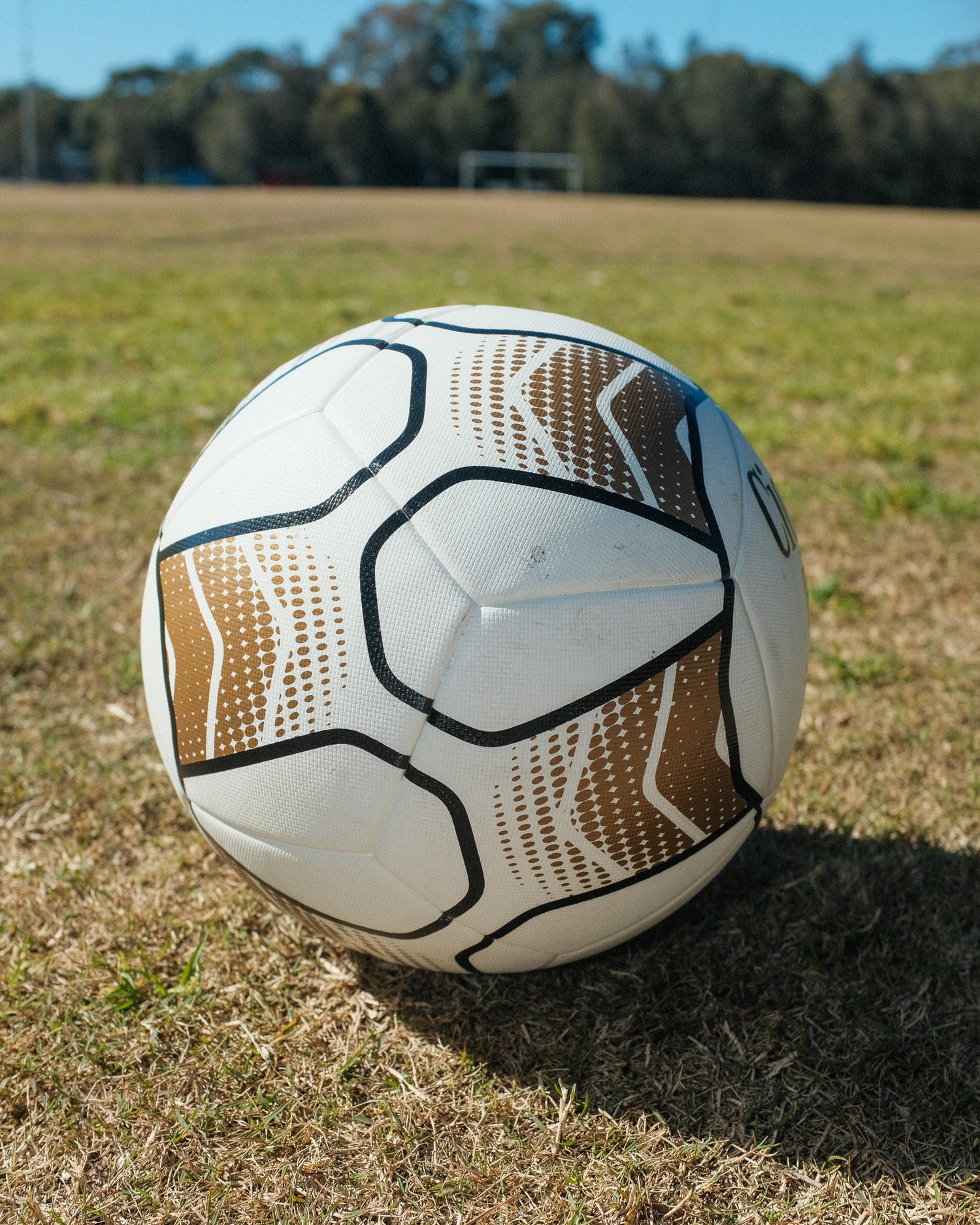 CIGNO PRO MATCH BALL SIZE 5