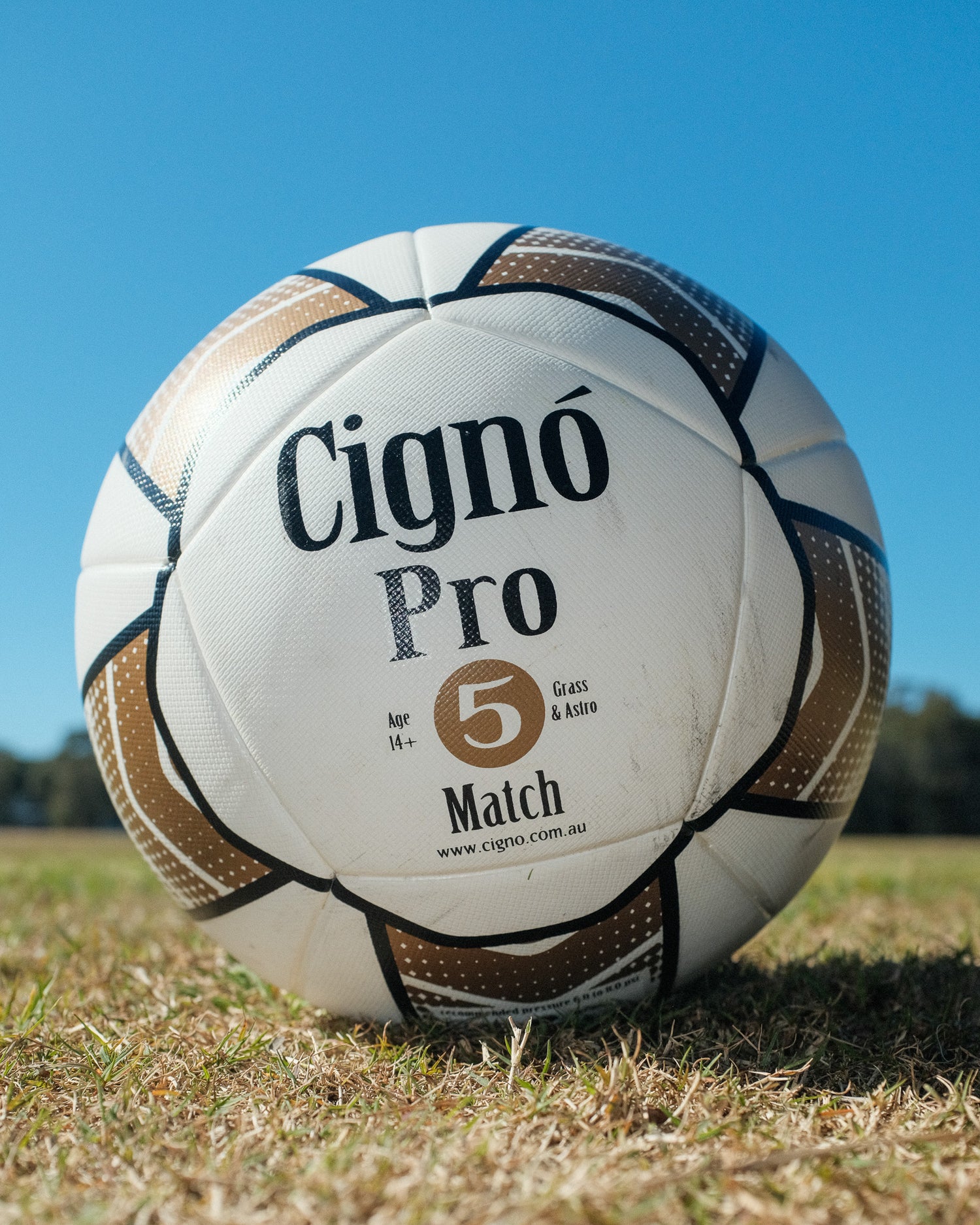 PRO MATCH BALL SIZE 5