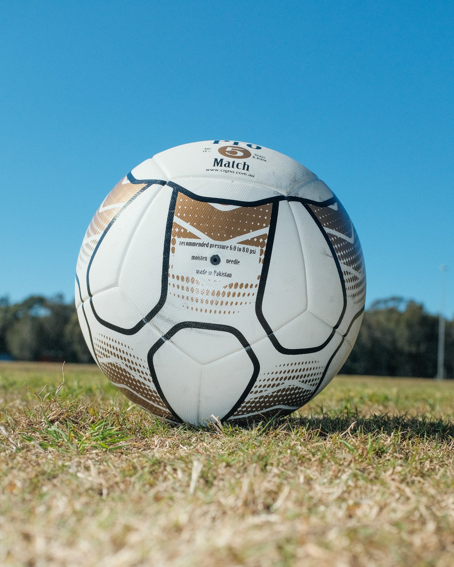 PRO MATCH BALL SIZE 5