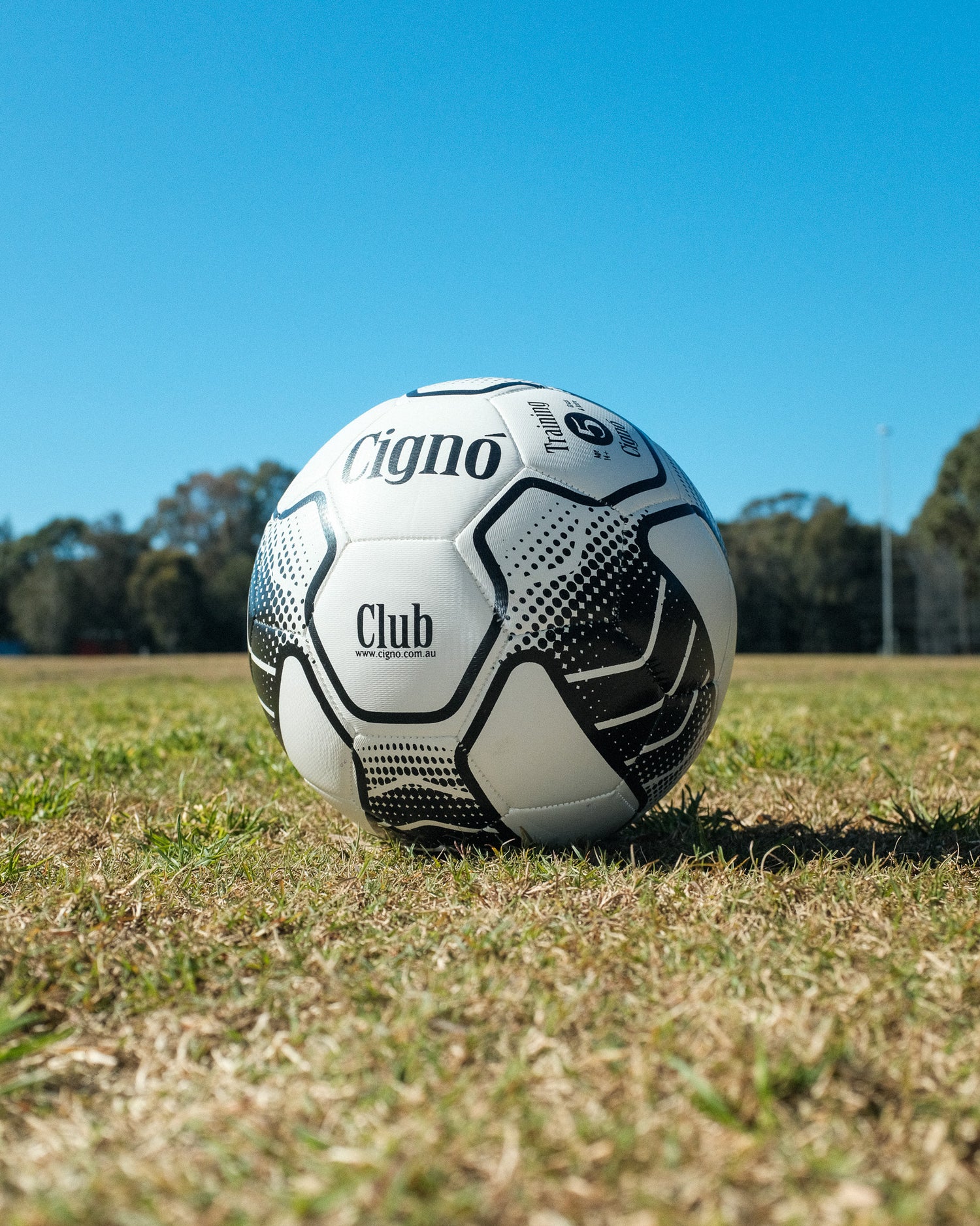 CIGNO CLUB TRAINING BALL