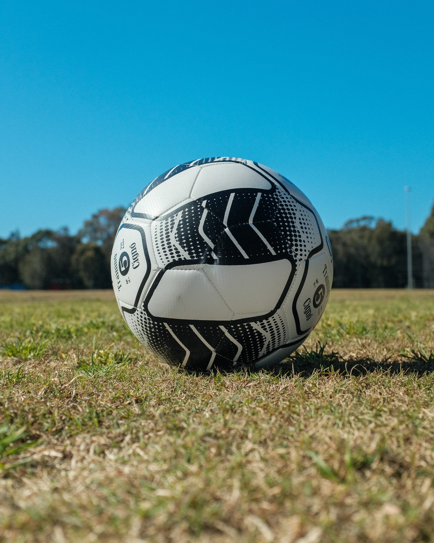 CIGNO CLUB TRAINING BALL