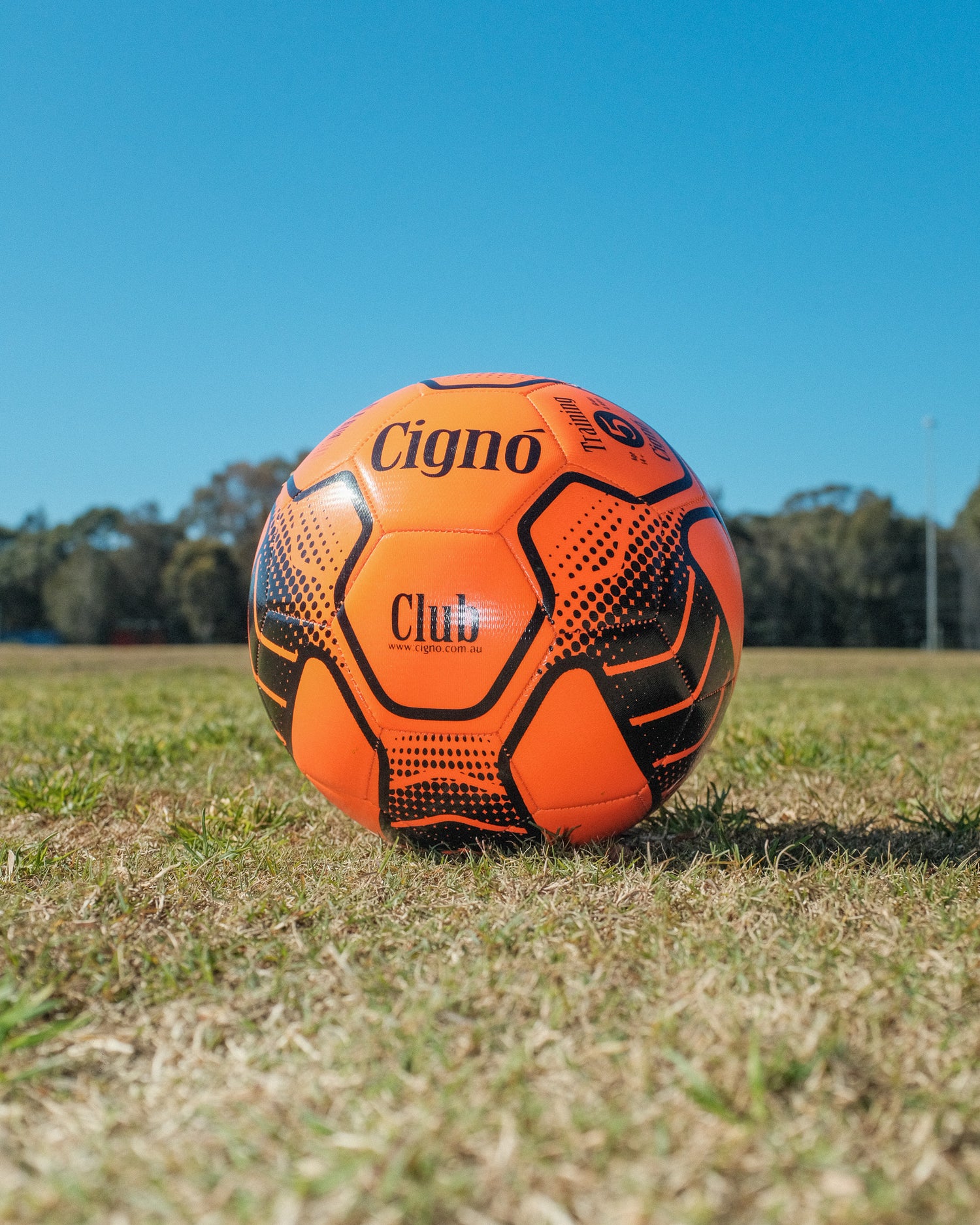 CIGNO CLUB TRAINING BALL