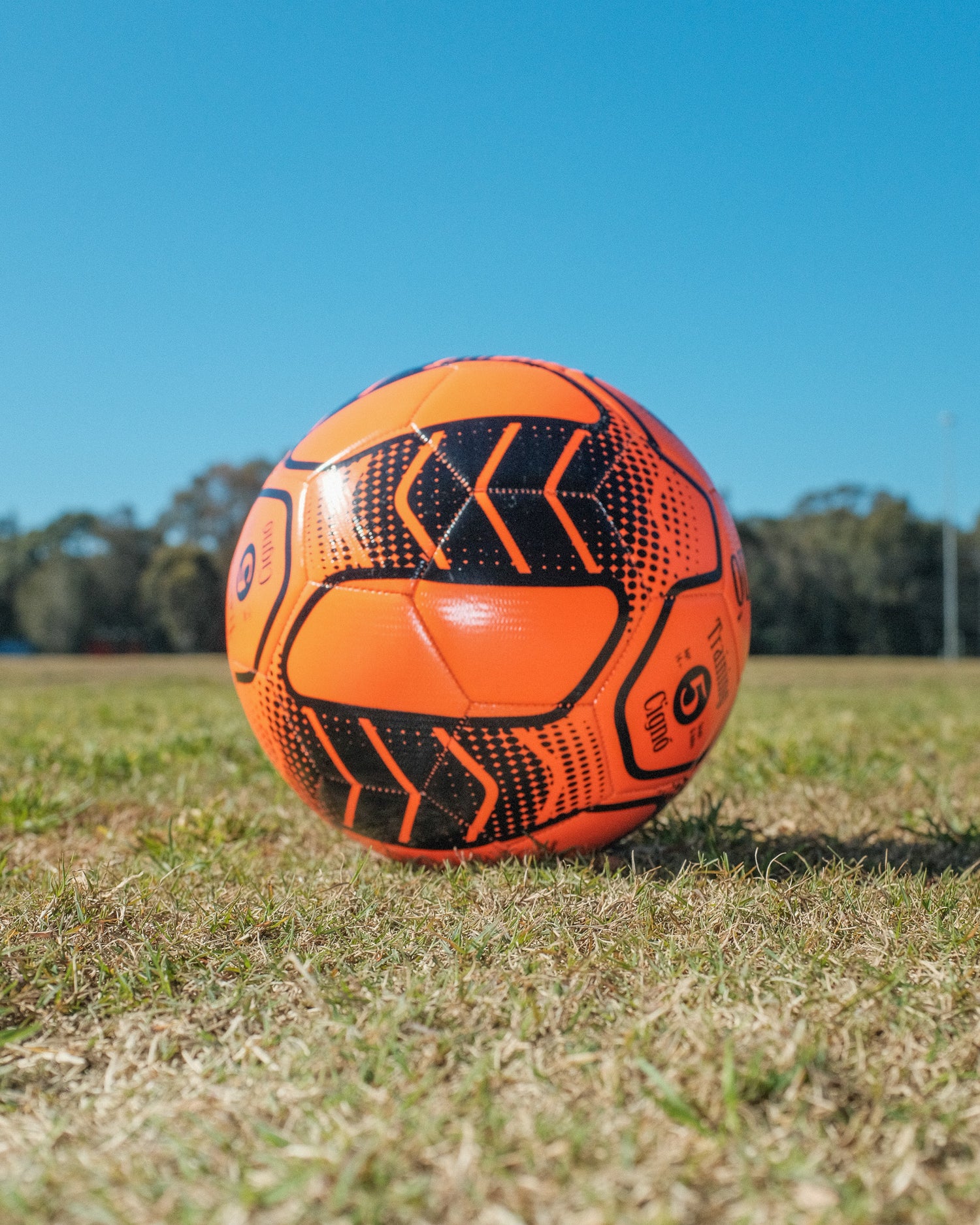CIGNO CLUB TRAINING BALL