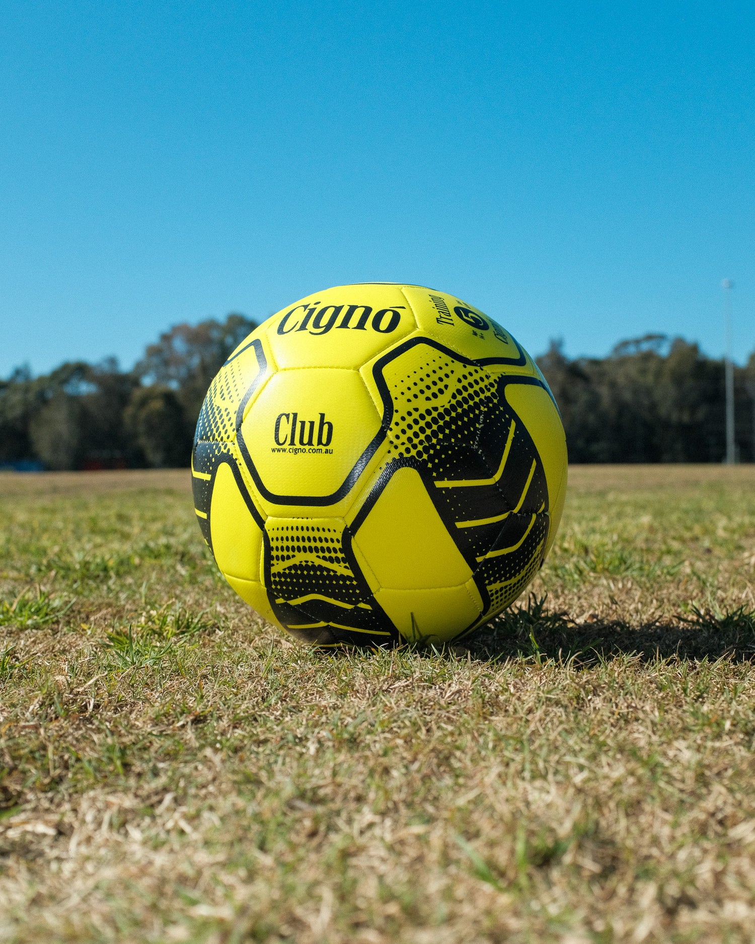 CIGNO CLUB TRAINING BALL
