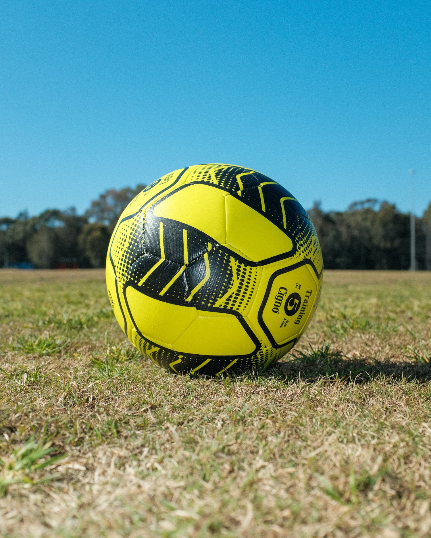 CIGNO CLUB TRAINING BALL