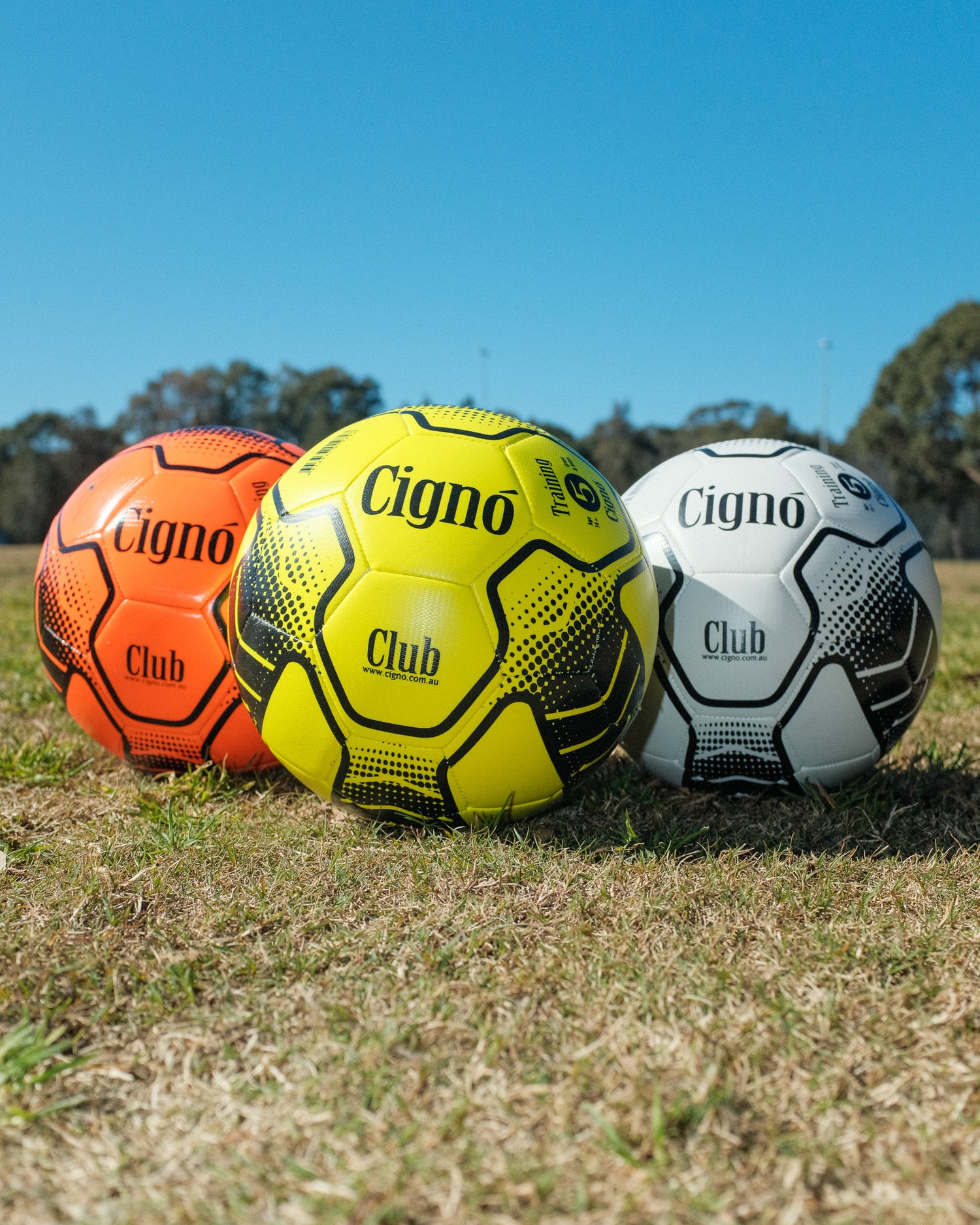 CLUB TRAINING BALL