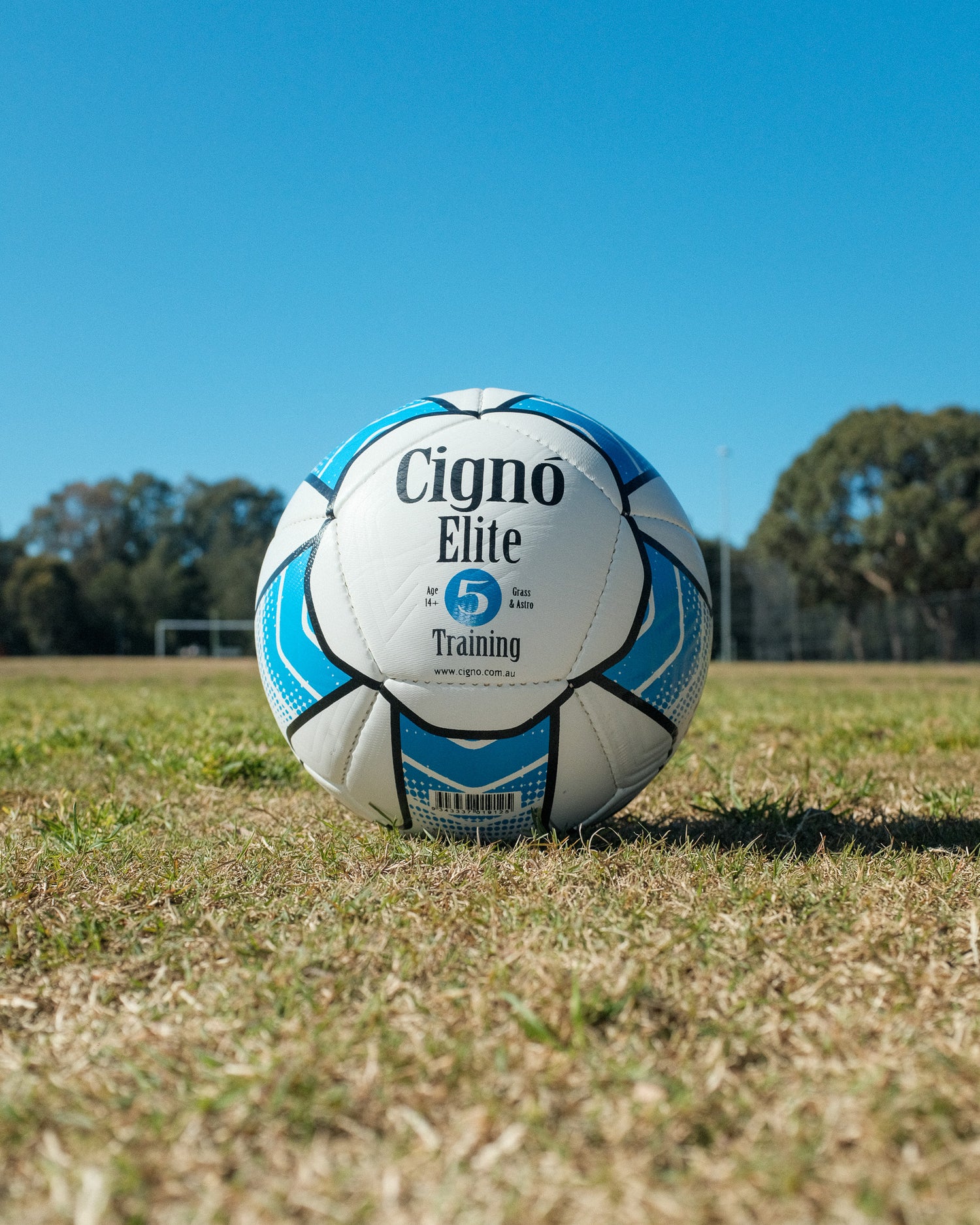CIGNO ELITE TRAINING BALL SIZE 5