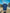 NAVY CLUB JERSEY