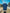 NAVY CLUB JERSEY