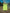FLURO YELLOW TRAINING BIB