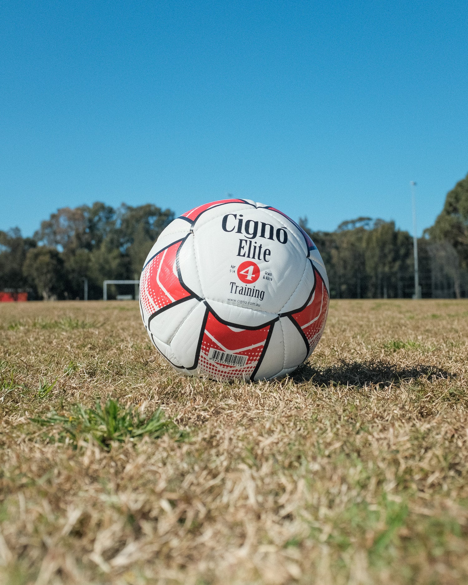 CIGNO ELITE TRAINING BALL SIZE 4