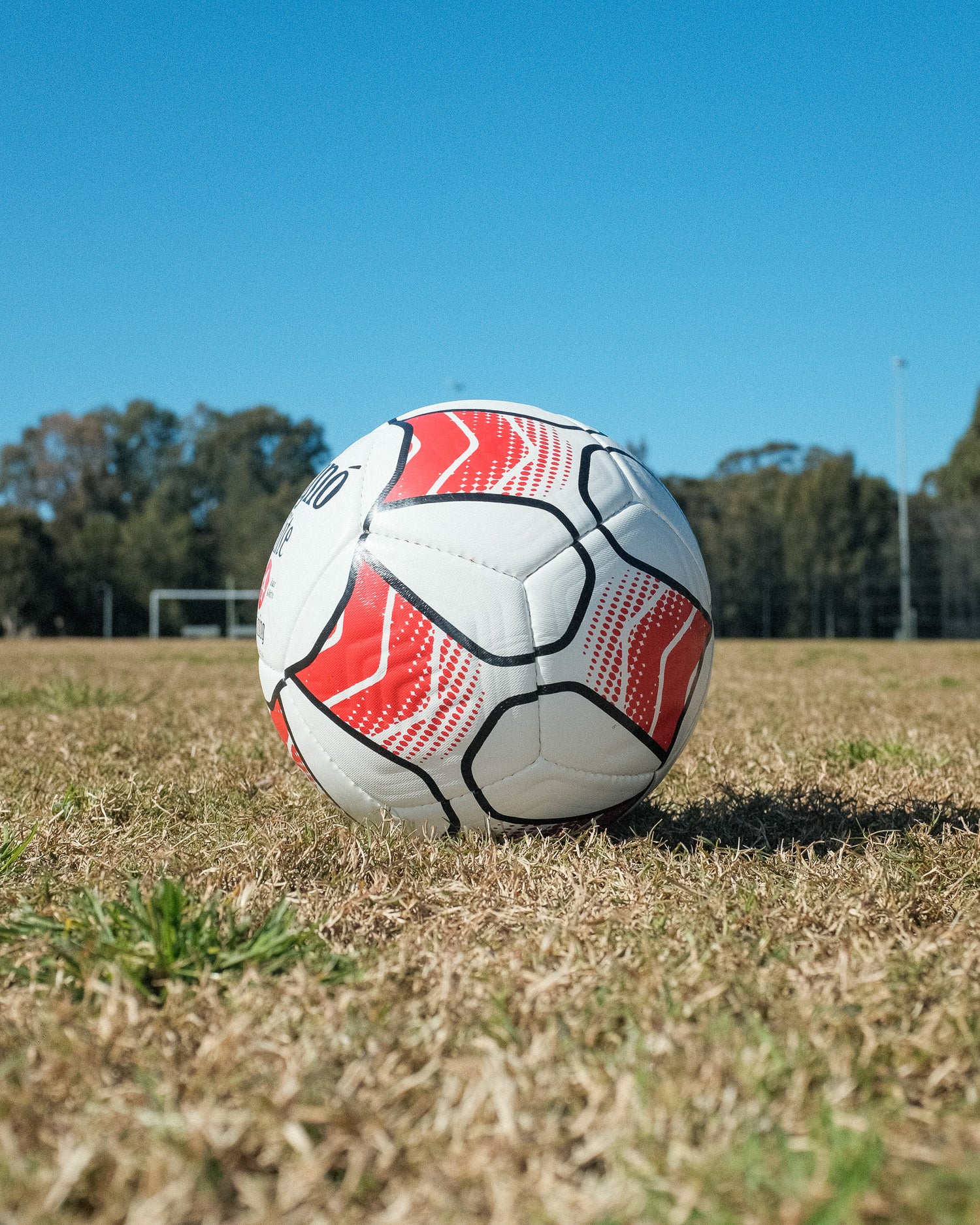 CIGNO ELITE TRAINING BALL SIZE 4