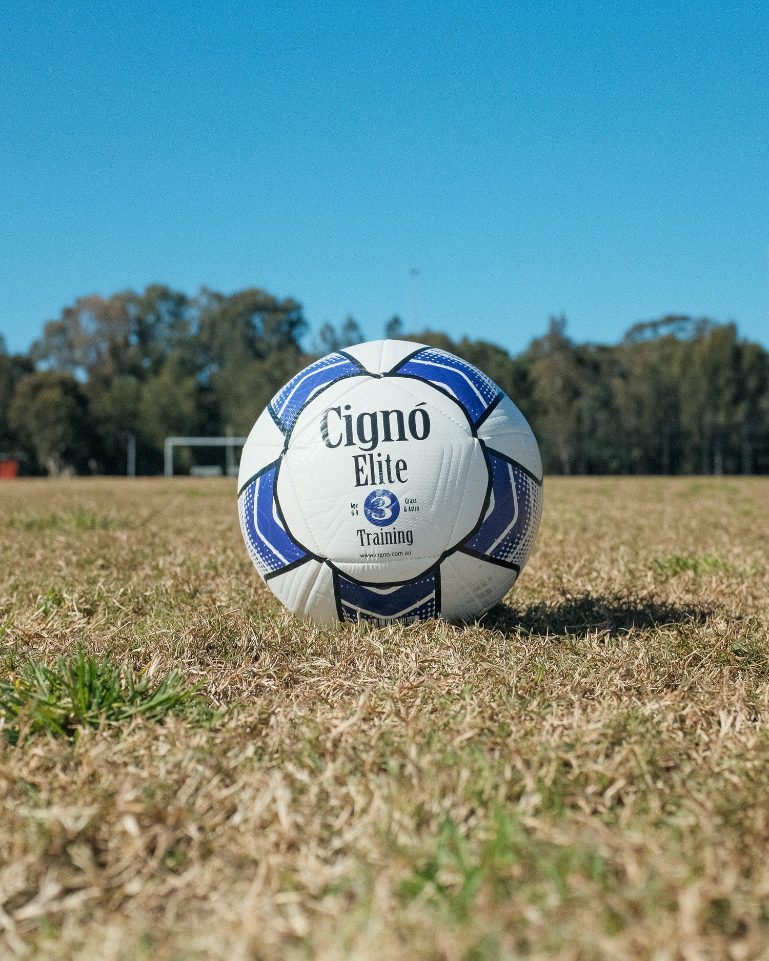 CIGNO ELITE TRAINING BALL SIZE 3