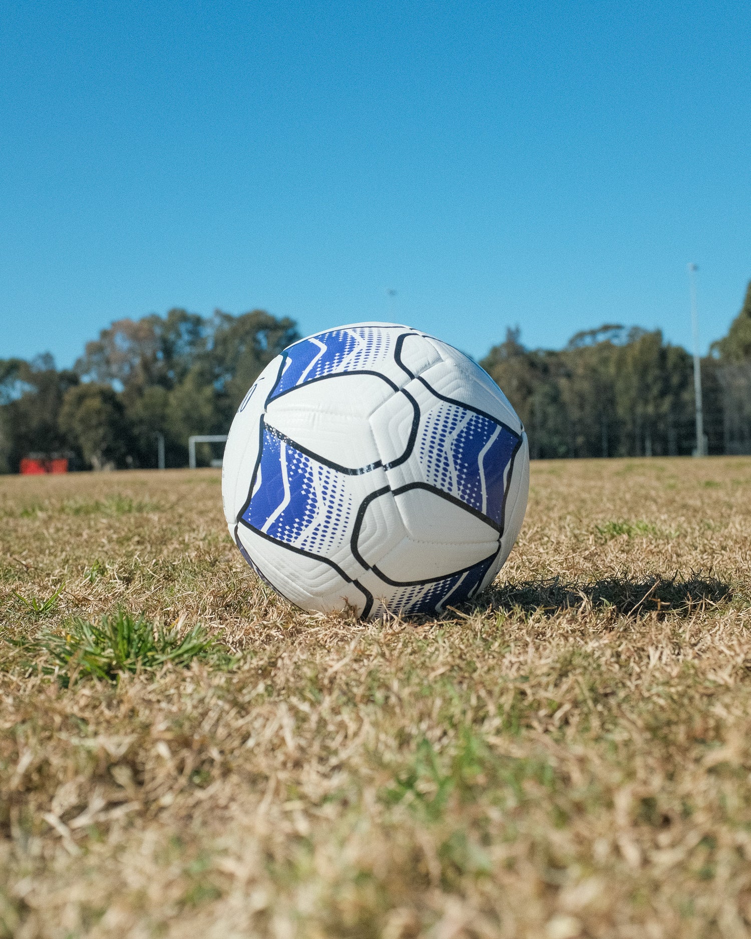 CIGNO ELITE TRAINING BALL SIZE 3