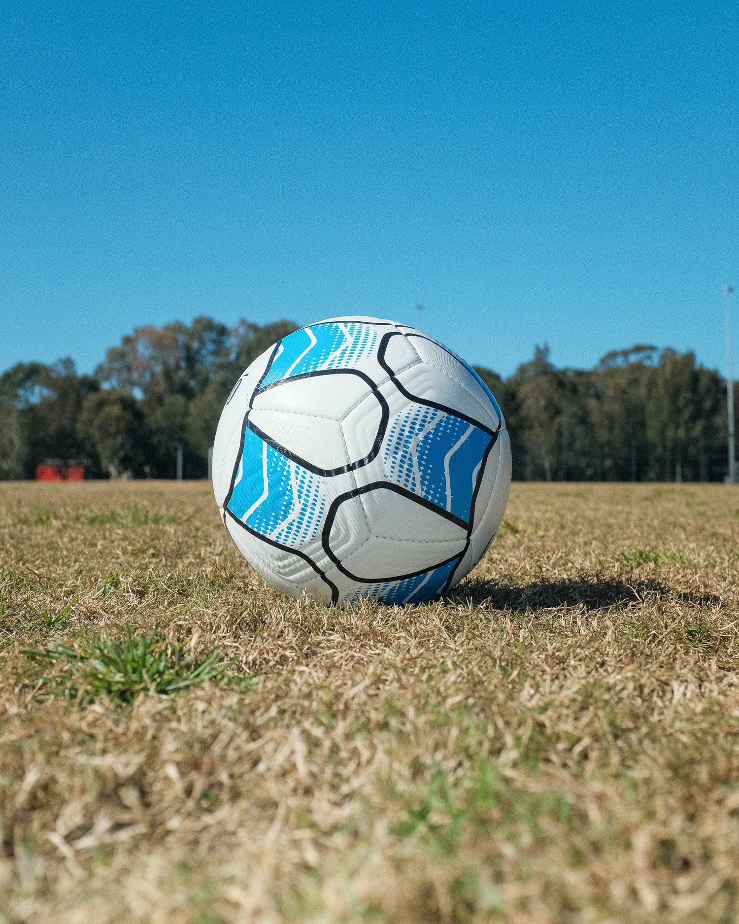 CIGNO ELITE TRAINING BALL SIZE 5