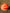 CIGNO MARKER CONES - 10 PACK - ORANGE