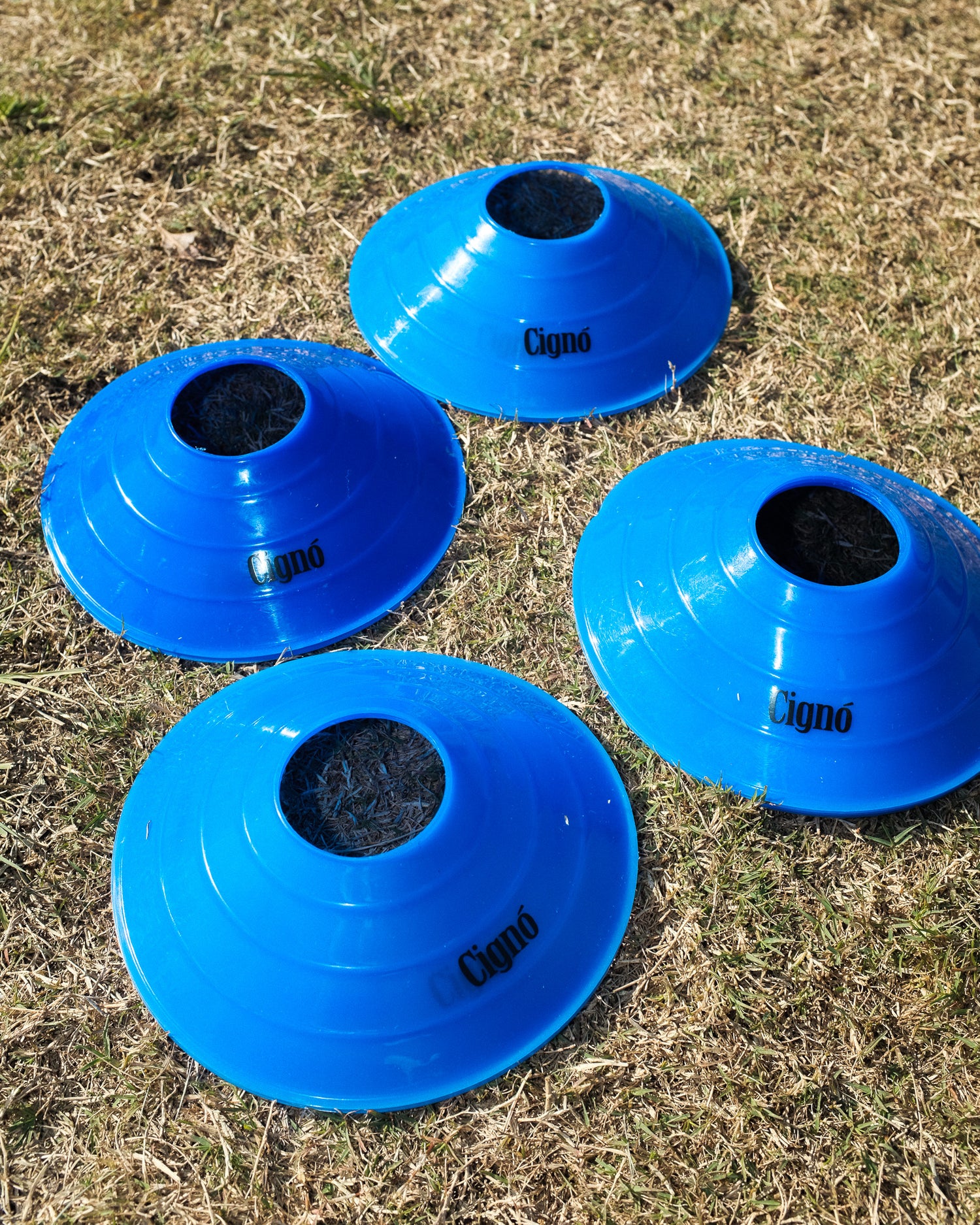 CIGNO MARKER CONES - 10 PACK - BLUE