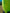 ELITE GOALKEEPER JERSEY - FLURO YELLOW