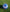 NEWCASTLE JETS SKILLS BALL - SIZE 1