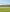 CIGNO FOOTBALL FULL SIZE NETS (PAIR)