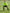 ELITE GOALKEEPER JERSEY