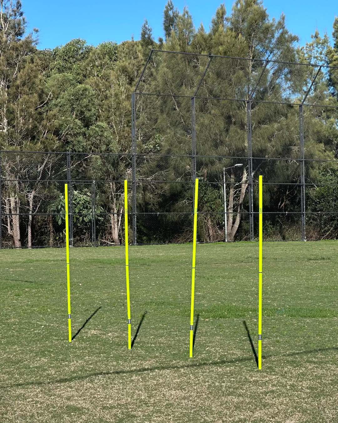2 PIECE SPRING TRAINING POLE SET (SET OF 4 WITH CARRY BAG)