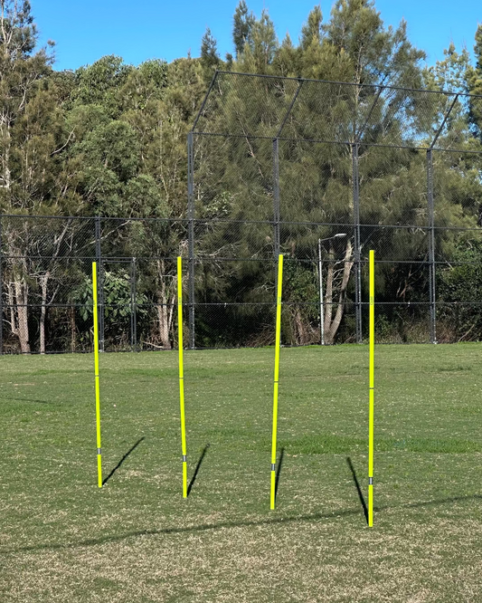 2 PIECE SPRING TRAINING POLE SET (SET OF 4 WITH CARRY BAG)