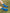ROYAL BLUE GRIP SOCKS