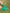 GREEN GRIP SOCKS