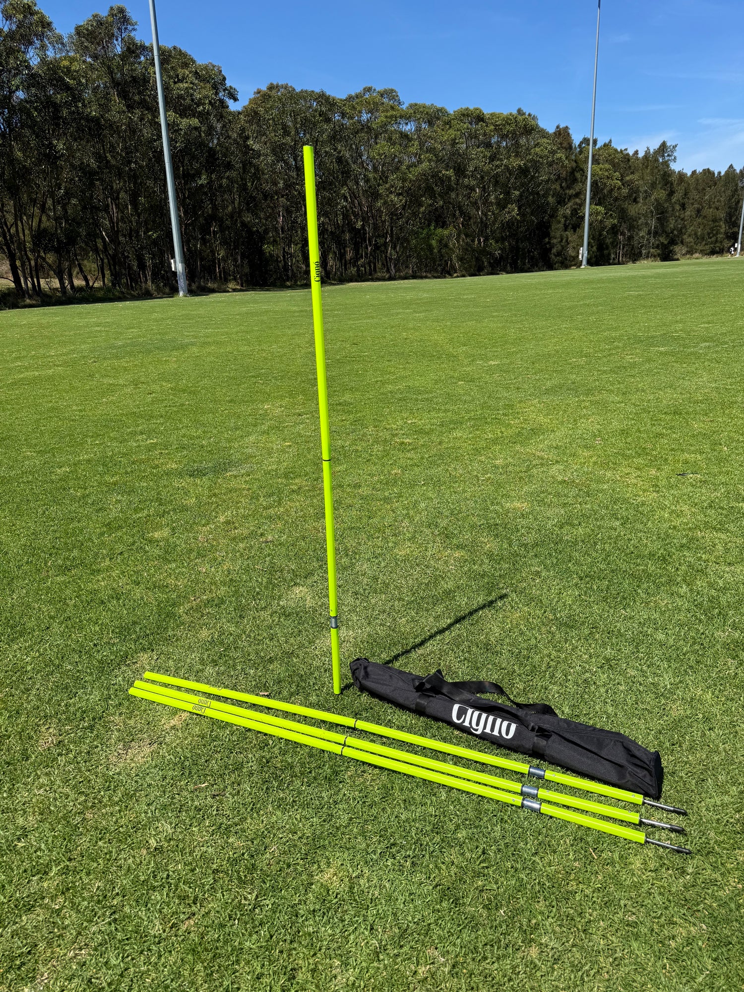AGILITY POLE 2 PIECE SPRING TRAINING SET (SET OF 4 WITH CARRY BAG)