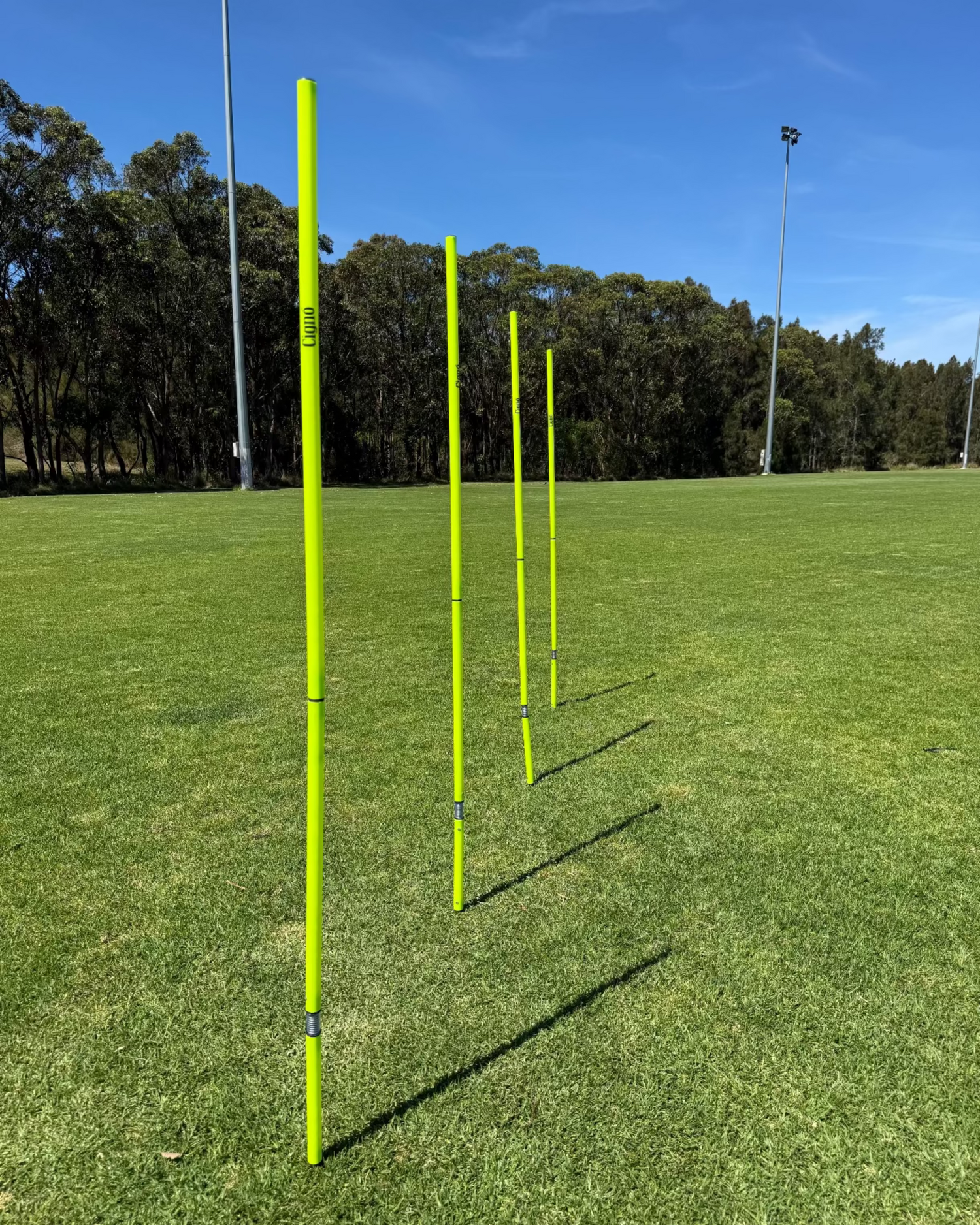 AGILITY POLE 2 PIECE SPRING TRAINING SET (SET OF 4 WITH CARRY BAG)