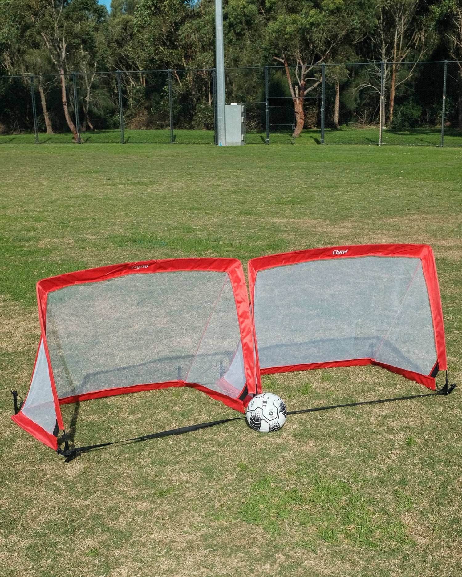 CIGNO POP UP GOAL SET (2) 4FT SQUARE