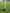 AGILITY POLE BASE - Everything Football