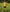 AL NASSR INSPIRED SUPPORTER SHIRT - Everything Football