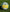CENTRAL COAST MARINERS BALLS - Everything Football