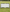 CIGNO ALUMINIUM GOAL 2M X 1M - BLACK - Everything Football
