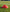 CIGNO MARKER CONES - 10 PACK - RED - Everything Football