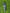 DUAL ACTION BALL PUMP - Everything Football