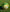 MATILDAS LOVE BALLS - Everything Football