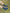 NAVY GRIP SOCKS - Everything Football