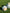 NEWCASTLE JETS BALLS - Everything Football