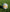 NEWCASTLE JETS BALLS - Everything Football
