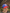 NEWCASTLE JETS CAP - Everything Football