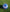 NEWCASTLE JETS SKILLS BALL - SIZE 1 - Everything Football