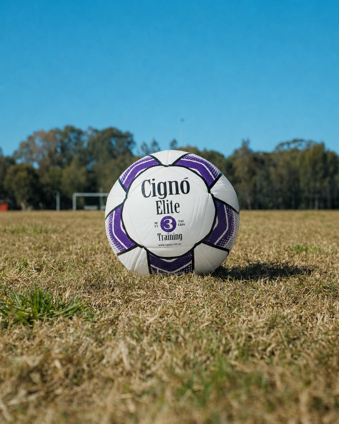 ELITE TRAINING BALL SIZE 3